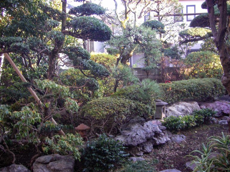 Japanese style garden design