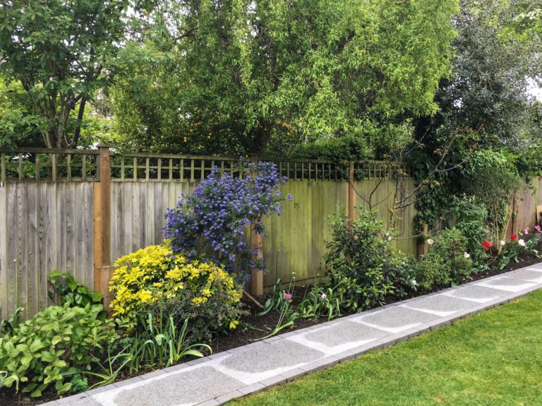 footpath and fence plants