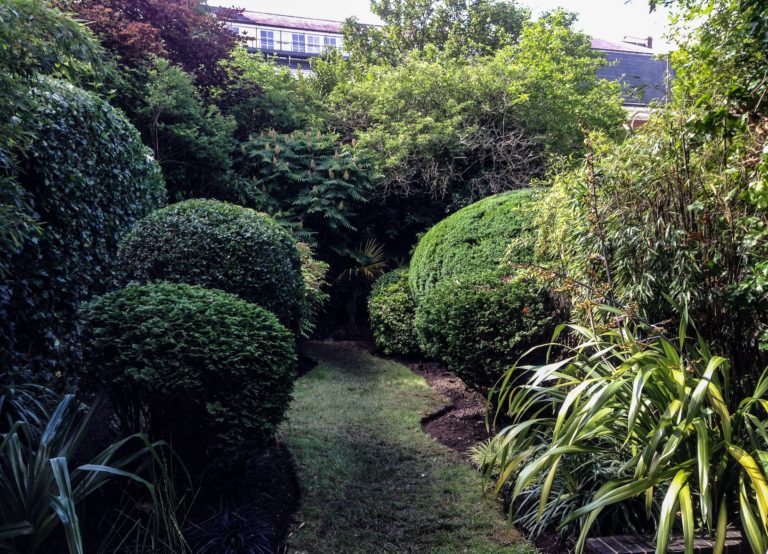 hedge garden design